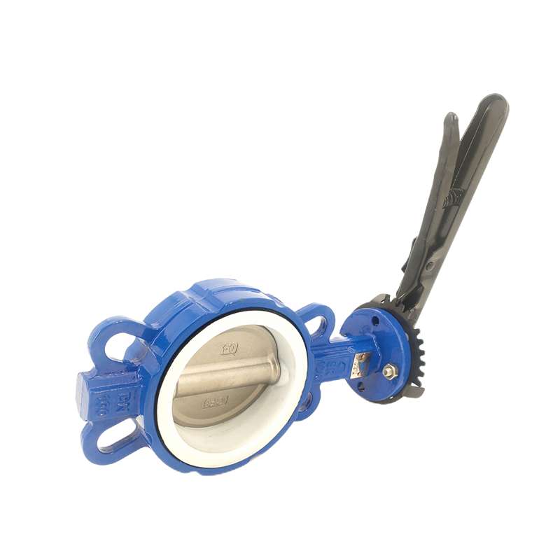 butterfly wafer type valve butterfly wafer type valve